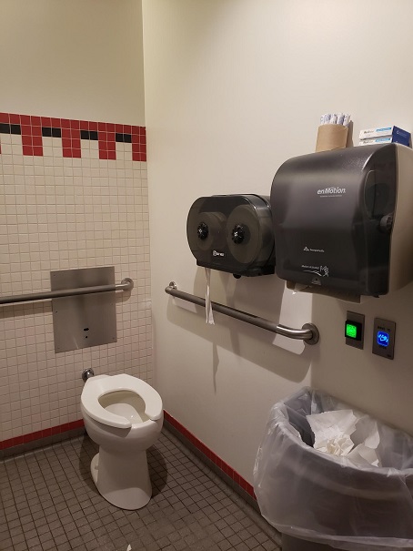 Bathroom layout showing handle bars by toilet and toilet paper dispenser above the handle bars
