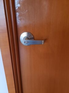 Door handle style: lever