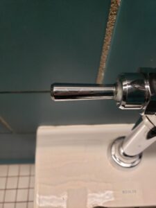 Toilet handle in accessible stall: push lever