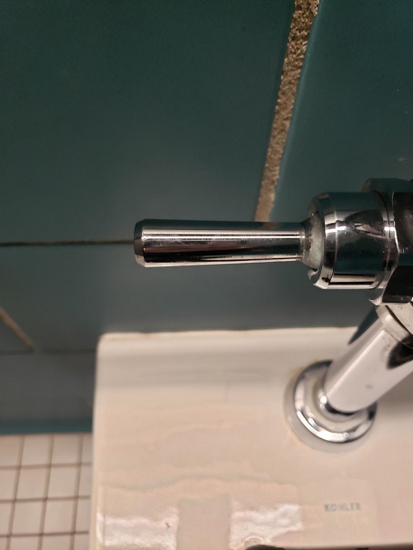 Toilet handle in accessible stall: push lever