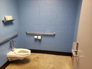Bathroom layout showing toilet, handle bars, and toilet handle with push lever