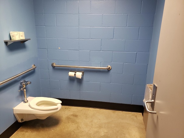 Bathroom layout showing toilet, handle bars, and toilet handle with push lever