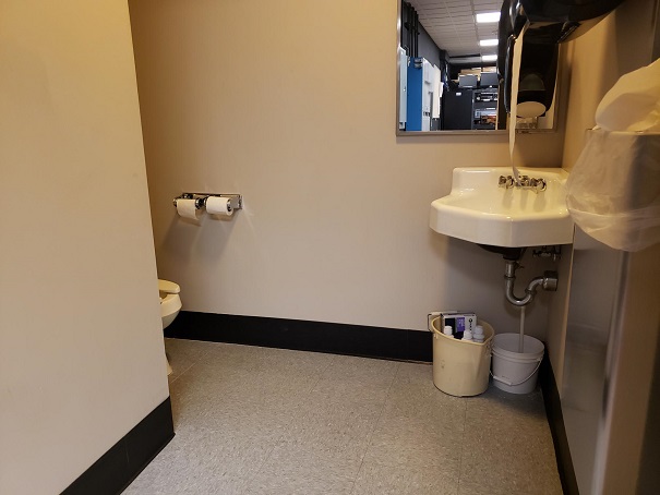 Sink in right corner and toilet in alcove on far left